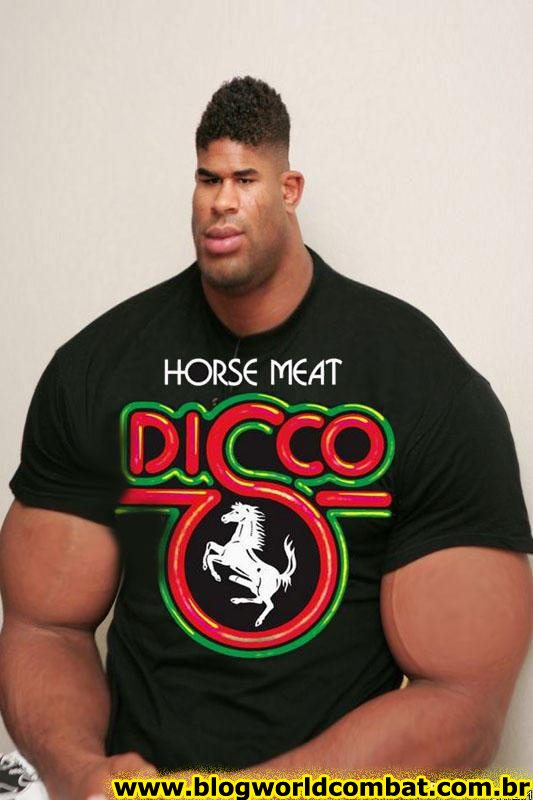 Alistair Overeem UFC 146